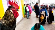 On the market in San-Christobal de las Casas (Mexico, Chiapas); Photo: Thomas Alboth